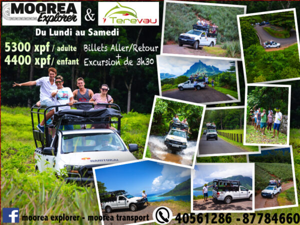 Safari 4×4 Moorea Explorer