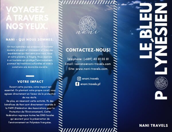 flyer bleu1